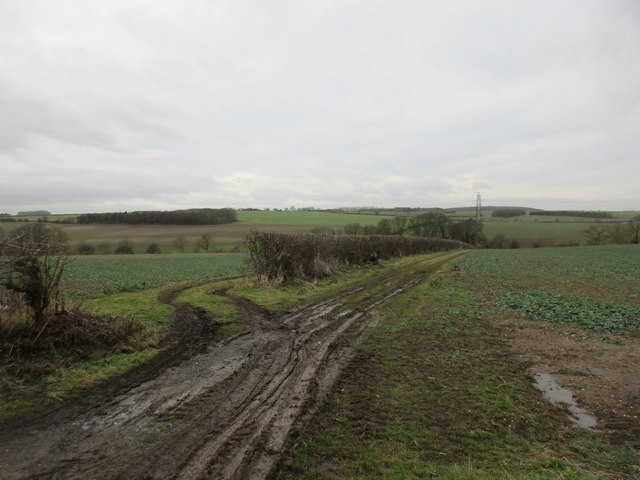 Farm track near Hatcliffe Top