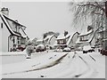 Hawthorn Avenue in the snow