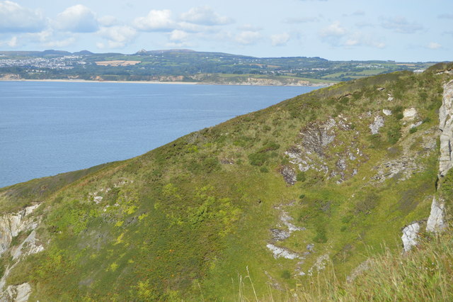 Cliffs, Gribbin Head
