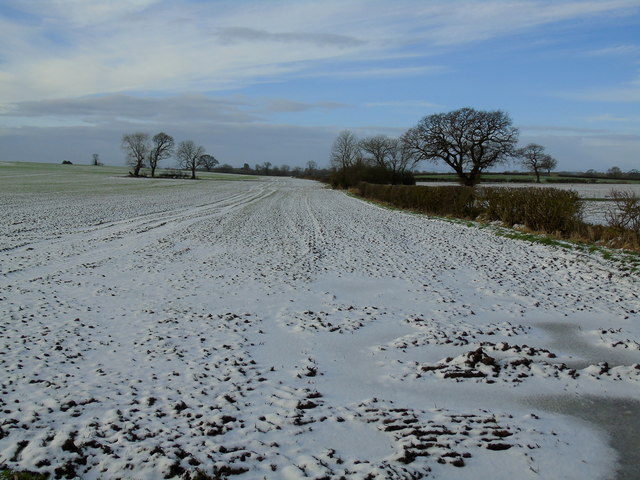 Winter Scene from Upsall Road