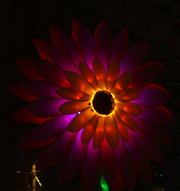 View of a flower in Lantern Company's (with Jo Pocock) Nightlife in Leicester Square Gardens