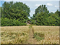 Footpath towards Galleywood