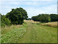 Path towards Great Baddow