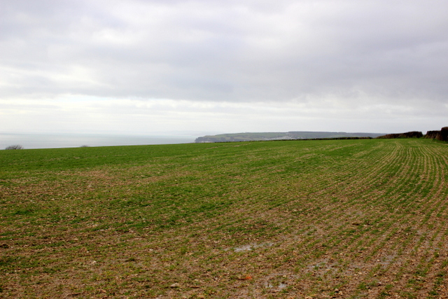Field Above Bindon Landslip