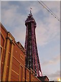 SD3036 : Blackpool Tower by Steve Daniels
