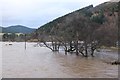 NT3336 : Flooding near the Tweed Bridge, Innerleithen by Jim Barton