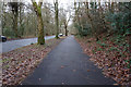 Whirlowdale Road,  Ecclesall Wood, Sheffield