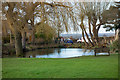 Bayford village pond