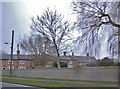 Row of houses on London Road, Osbournby