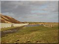 Path Crossing Newbiggin Moor