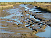 TF7544 : Tidal creek in Titchwell Nature Reserve, Norfolk by Richard Humphrey