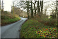 Lane junction, Little Haldon