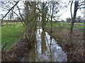 SJ8517 : The Eaton Brook, looking upstream by Richard Law