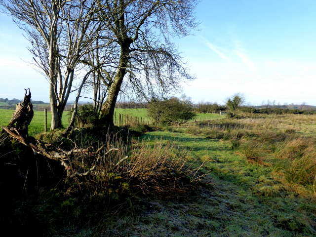 Creevenagh Townland © Kenneth Allen Cc-by-sa 2.0 :: Geograph Ireland