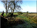 Creevenagh Townland