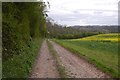 SO6470 : Farm track, Bickley by Richard Webb