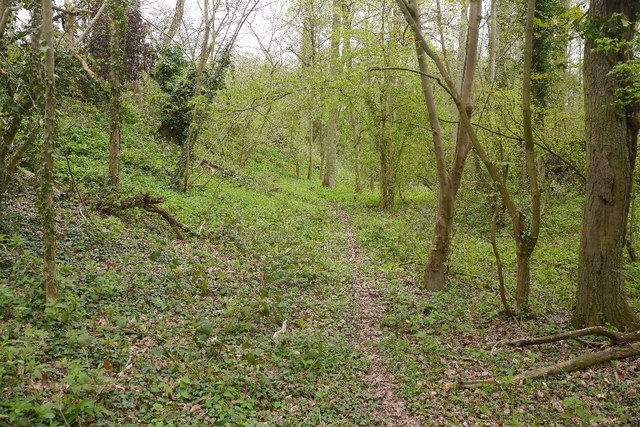 Leominster Canal, Cainey © Richard Webb cc-by-sa/2.0 :: Geograph ...