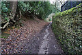 Fenney Lane towards Whirlow Hall