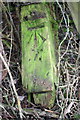 Benchmark on discarded gatepost in Station Road hedge