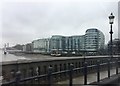 View from Battersea Bridge