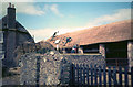 Thatching at Bossington