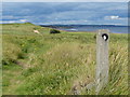 NZ4936 : England Coast Path at Hart Warren by Mat Fascione