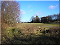 Leen Valley Country Park