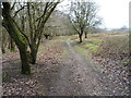 Path from Coppice Hill to Brocton