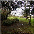 Woodcock Park from Shaftesbury Avenue, Kenton