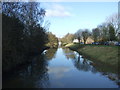 Market Weighton Canal, Newport 