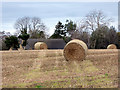 Hay bales near Forres