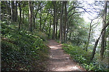 SX0952 : South West Coast Path descending to Polkerris by N Chadwick