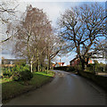 Waldringfield: Cliff Road in January