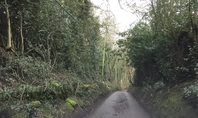 Birchover Lane