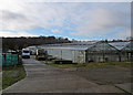 Newbourne: glasshouses on Jackson Road