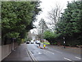 Looking north-east along Auckland Road