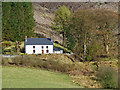 Nantyrhwch in Cwm Tywi, Ceredigion