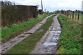 Track to site of Coolham Advanced Landing Ground