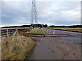 Signs of muck spreading 