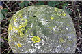 Benchmark on top of milestone beside Woodstock Road