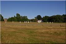 TQ3051 : Nutfield Marsh Cricket Ground by Ian Capper