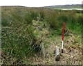 Battle Moss, Loch of Yarrows multiple stone rows