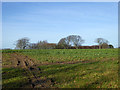 Field west of Ashdown Road