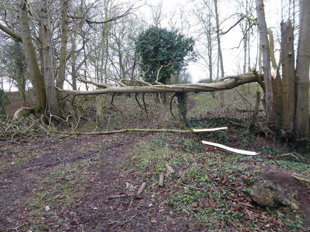 a-natural-barrier-philip-halling-geograph-britain-and-ireland