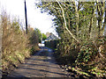 Lane towards Lady Margaret Manor