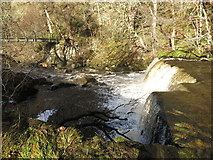 NY8452 : Holms Linn and footbridge over the River East Allen (2) by Mike Quinn
