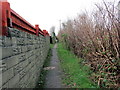 Llwybr Coed Cae / Coed Cae Path