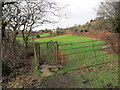 Llwybr Heol Saron / Saron Road Path