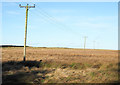 NY9669 : Electricity transmission lines crossing moorland by Trevor Littlewood