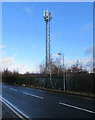 Telecoms mast behind Crispin Lane, Wrexham